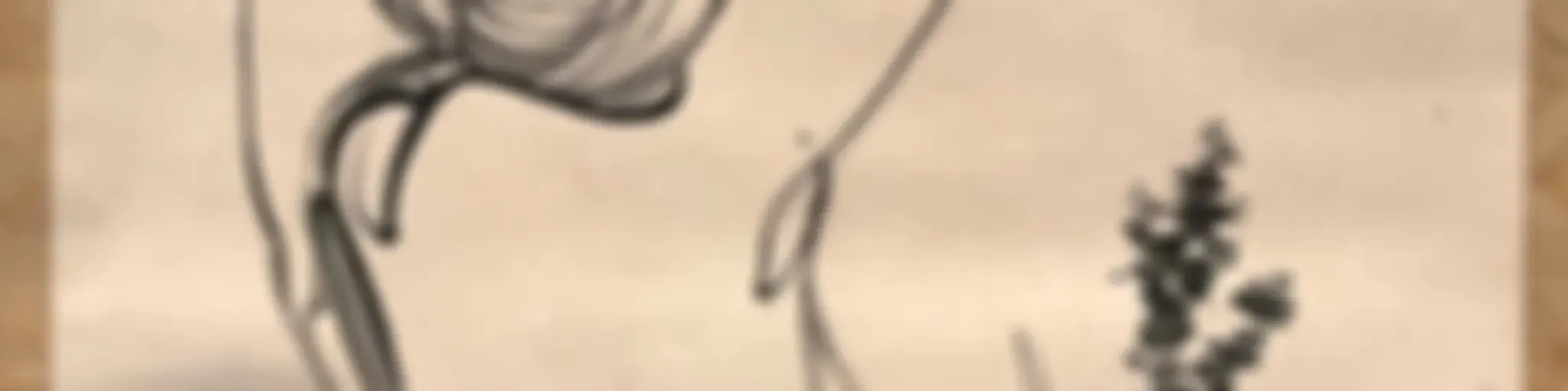 一葦渡江