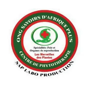 RADIO ONG SAVOIRS DAFRIQUE PLUS