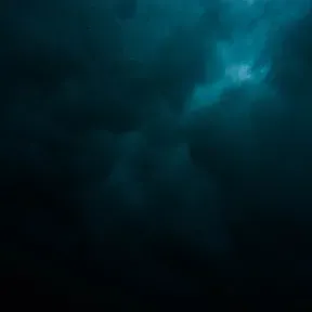 HAMA_BRWILI