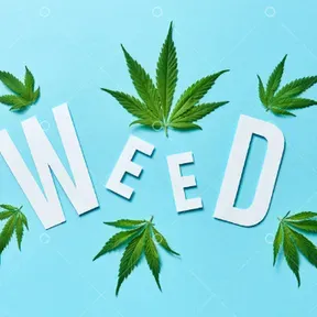 WEED 88 FM
