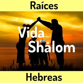 vida en shalom