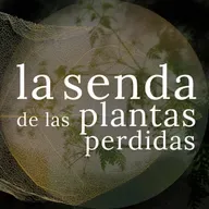 La muerte fría, con filosofía: las cicutas {SPP 088}