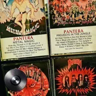 O verdadeiro Pantera: quando a banda usava lycra, dava agudos e era puro hard rock