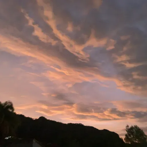 Confiar, soltar y fluir