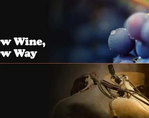 Episode 1262: New Wine, New Way