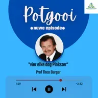 Vier elke dag Pinkster - Prof Theo Burger