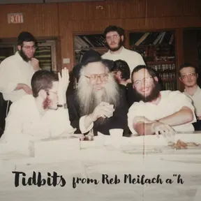 Tidbits from Reb Meilach a”h