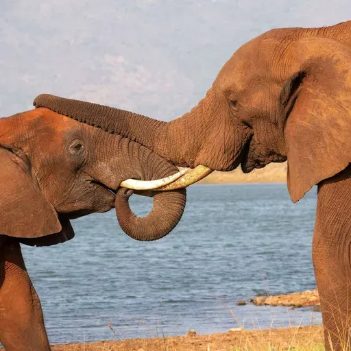 Dance of the Spiritual Warrior: Balancing Love and Power with Jamie Bristow