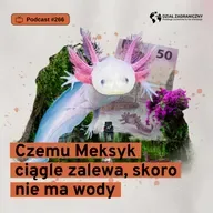 Czemu Meksyk ciągle zalewa, skoro nie ma wody (Dział Zagraniczny Podcast#266)