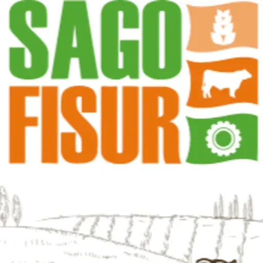 Encontremonos en SagoFisur 2023 (22 Septiembre 2023)