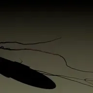 El Miedo Y Sus Tentáculos