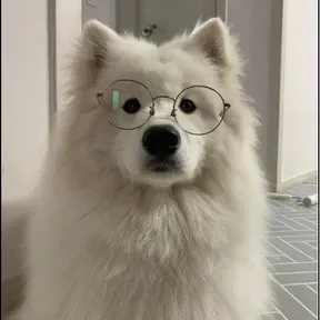 Struczek