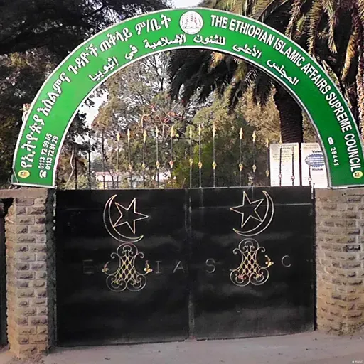 የኅዳር 15 ቀን፣ 2018 ዓ.ም የዜና መፅሄት