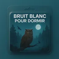 Noël en douceur - 1 H Bruit Blanc pour DORMIR | Murmure des Arbres & Appels de Hiboux