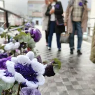 Sons de Nós 28 de novembro de 2025. Especial 25N