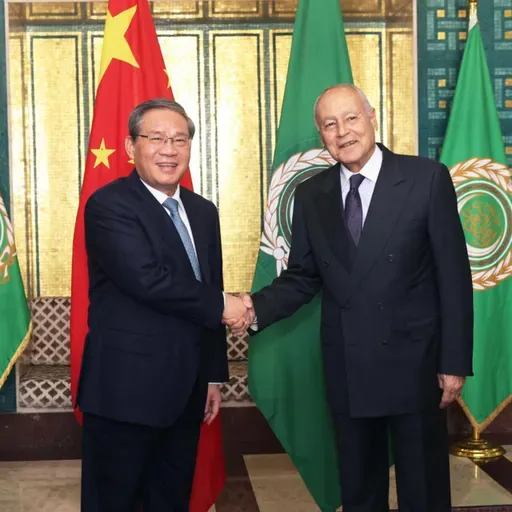 China voices support for Arab countries' unity, development: premier