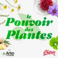 Rediffusion : La Détox
