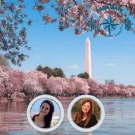 DM#83 - O que fazer em Washington DC - Parte 1