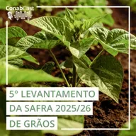 Estimativa da produção de grãos na safra 20256/26 é atualizada para 353,4 milhões de toneladas