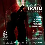 170. TRATO(MAL)TRATO - GALLUS