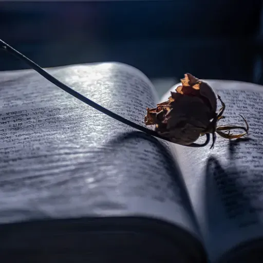 INDISSOLUBILIDADE DO CASAMENTO