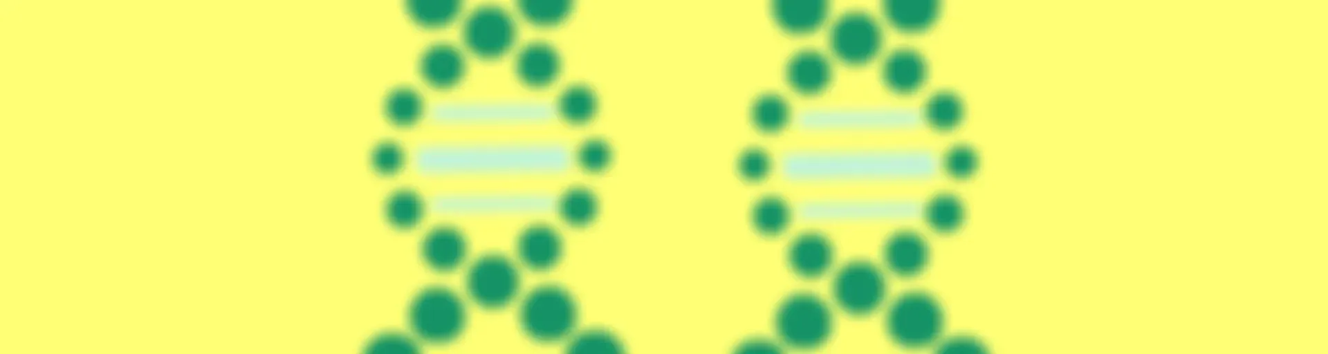 La vida en conexión