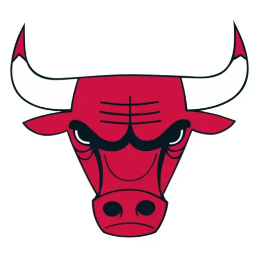chicago bulls :0