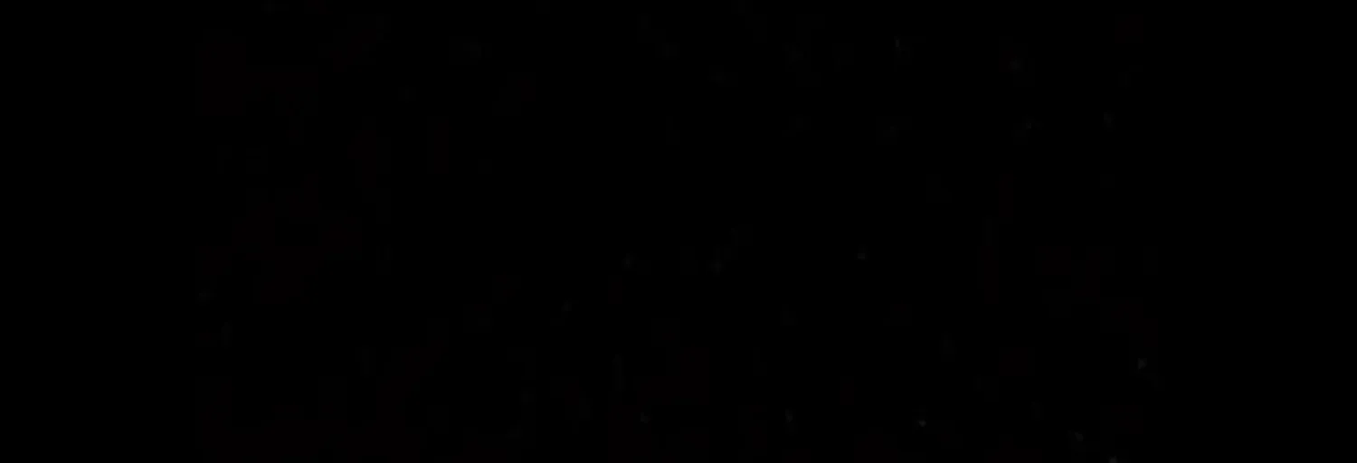 Blossom Reverie (Hanbin ver.)