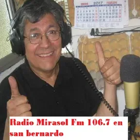 Mirasol Movil