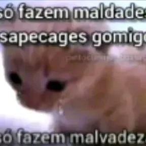 FUNK RJ