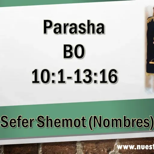 AUDIO PARASHA 15 BO