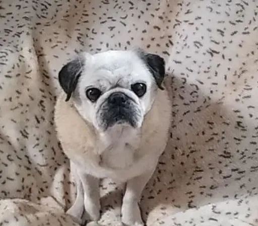 Edel Ní Loibhéad agus Máire Ní Laighin