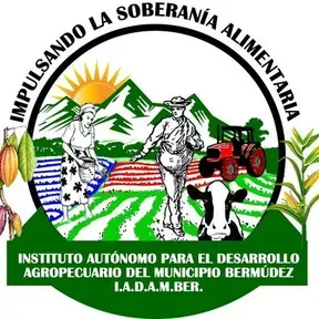 IADAMBER RADIO