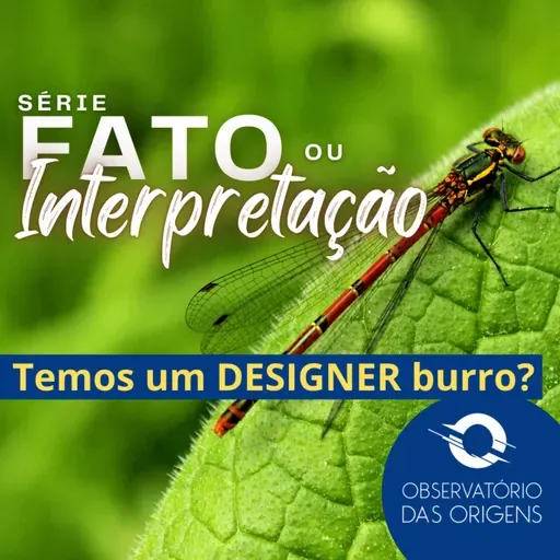 [Série] Fato ou Interpretação? - O Designer não é tão inteligente. Será?