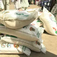 La Semaine sur Kalangou : temps forts de l’actualité et focus sur l’accès des femmes à la terre