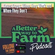 332: Cover Crops: When They Work and When They Don't