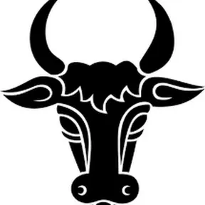 Radio TORO TORO