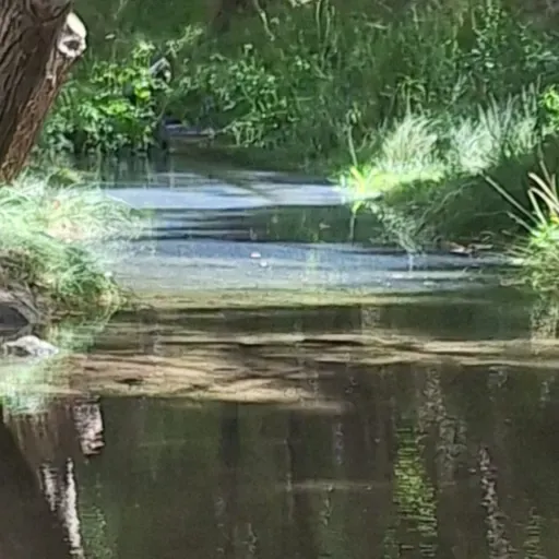 Donde el Río Se Encuentra Con el Cielo
