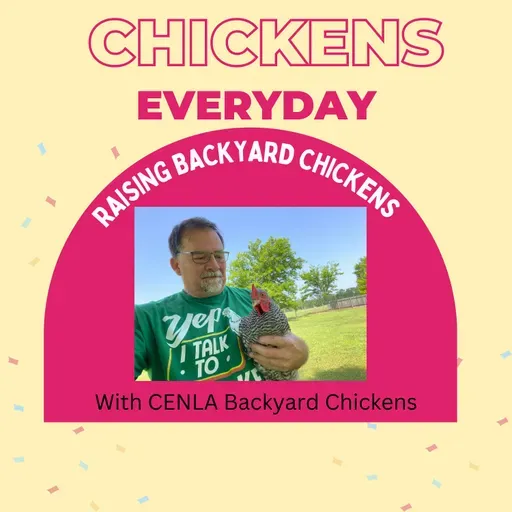 Part 2: Jeff Mattocks The Backyard Chicken Keeper’s Guide To Pecking Order, Nest Boxes, And Health