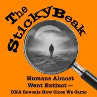 Humans Almost Went Extinct — DNA Reveals How Close We Came