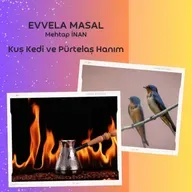 Kuşlar Kedi ve Pürtelaş Hanım