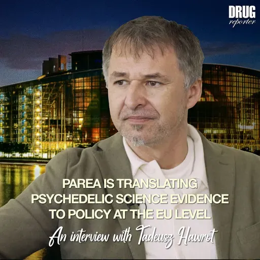 PAREA is Translating Psychedelic Science Evidence to Policy at the EU Level – An Interview with Tadeusz Hawrot