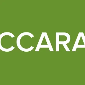 ELBRACCARADIOTV