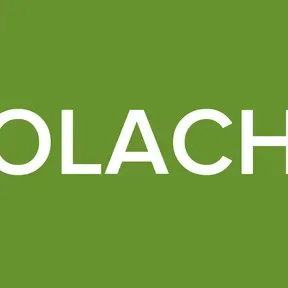 BOLACHA