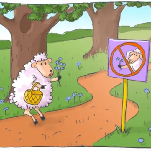 Глава “Ки Теце”: Текстильно-каббалистическая смесь