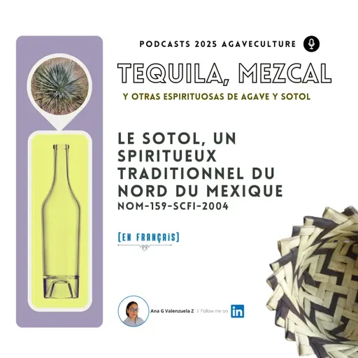 Le sotol, un spiritueux traditionnel du nord du Mexique.