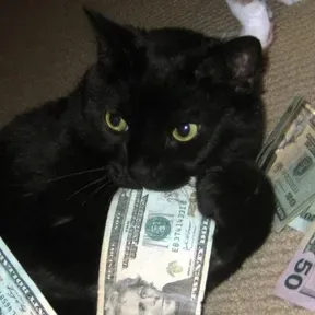 Sv2prdxoxo