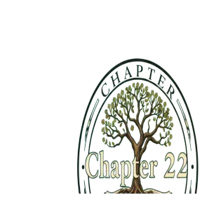 chapter 22