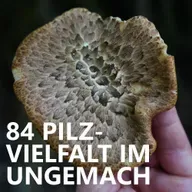#84 Pilzvielfalt im Ungemach
