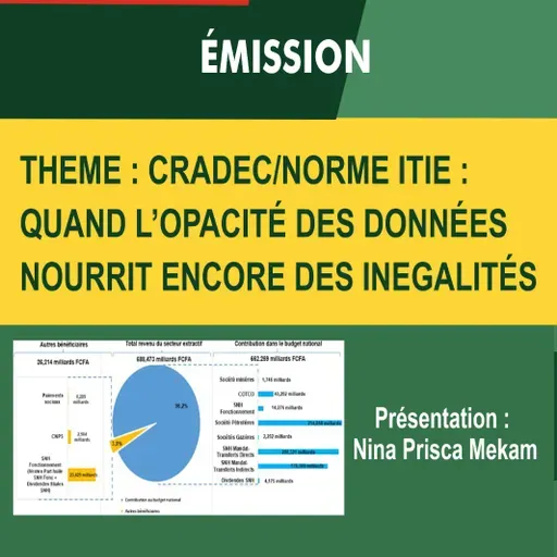CRADEC/NORME ITIE: QUAND L’OPACITÉ NOURRIT DES INEGALITÉS